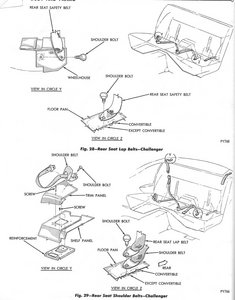 rear belts.jpg